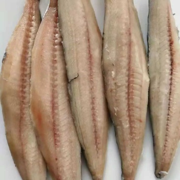 鲅鱼肉原料