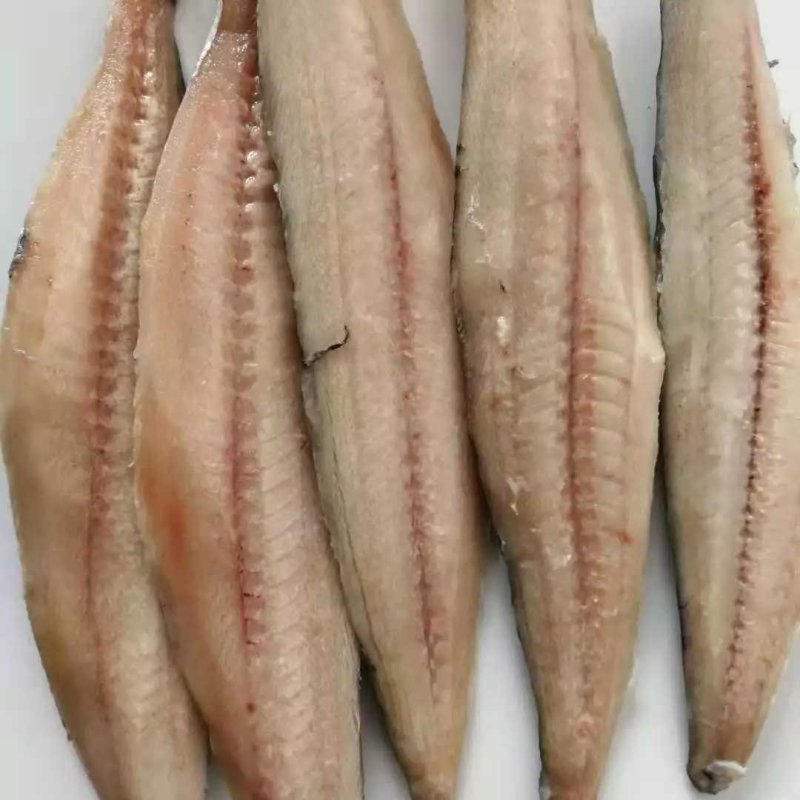 鲅鱼肉原料