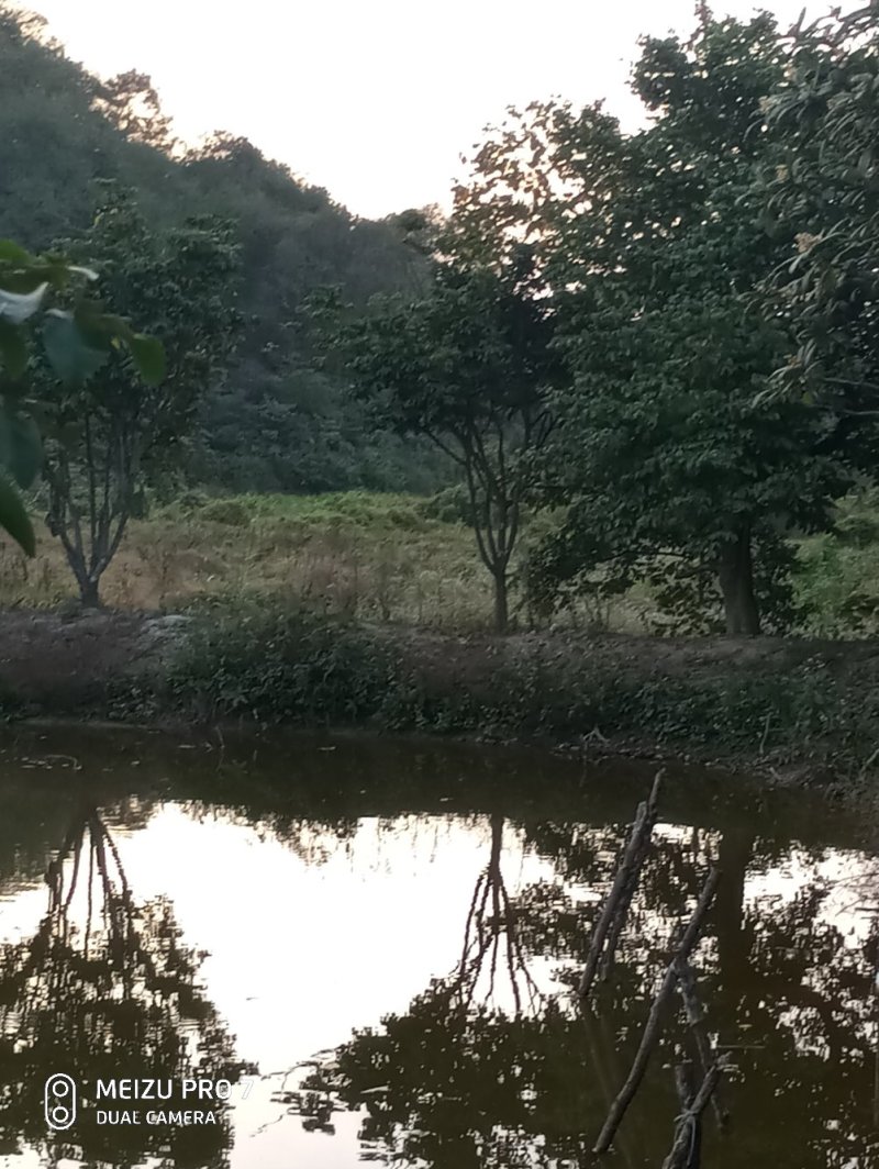 养殖地