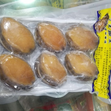 鲍鱼