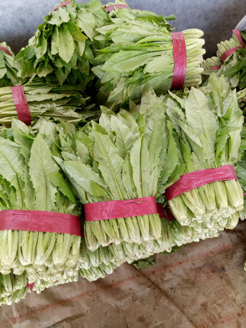 各种各样蔬菜水果大量现货
