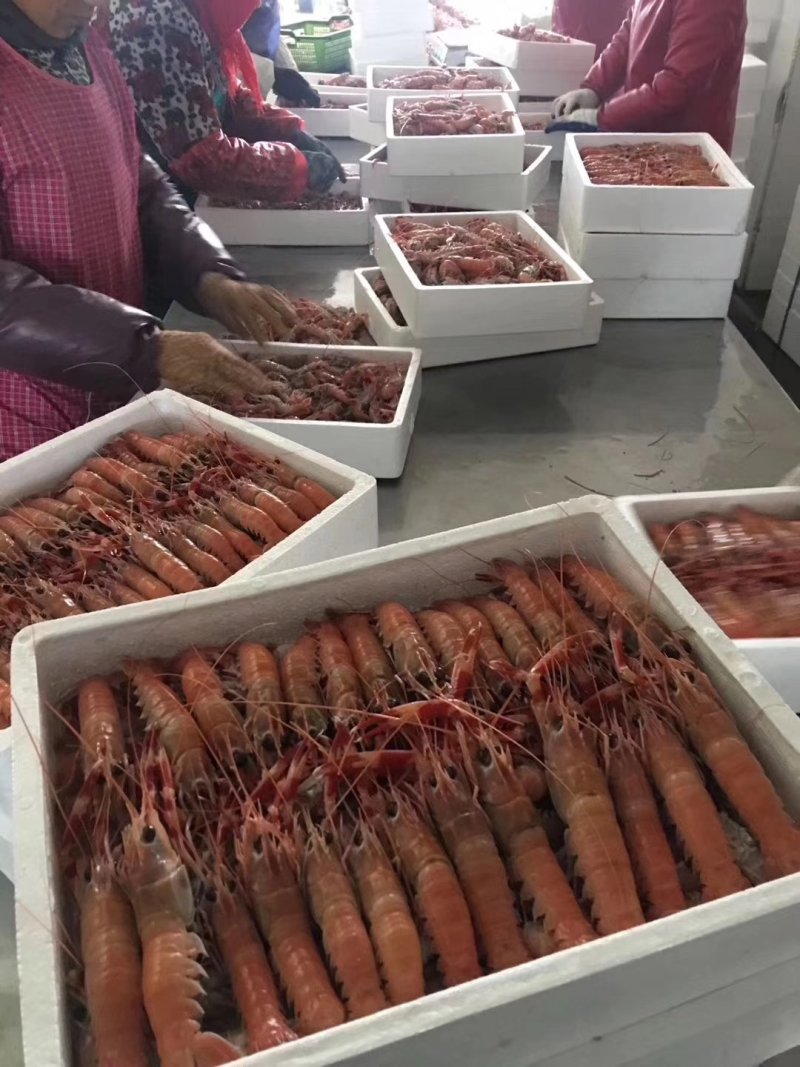 其它