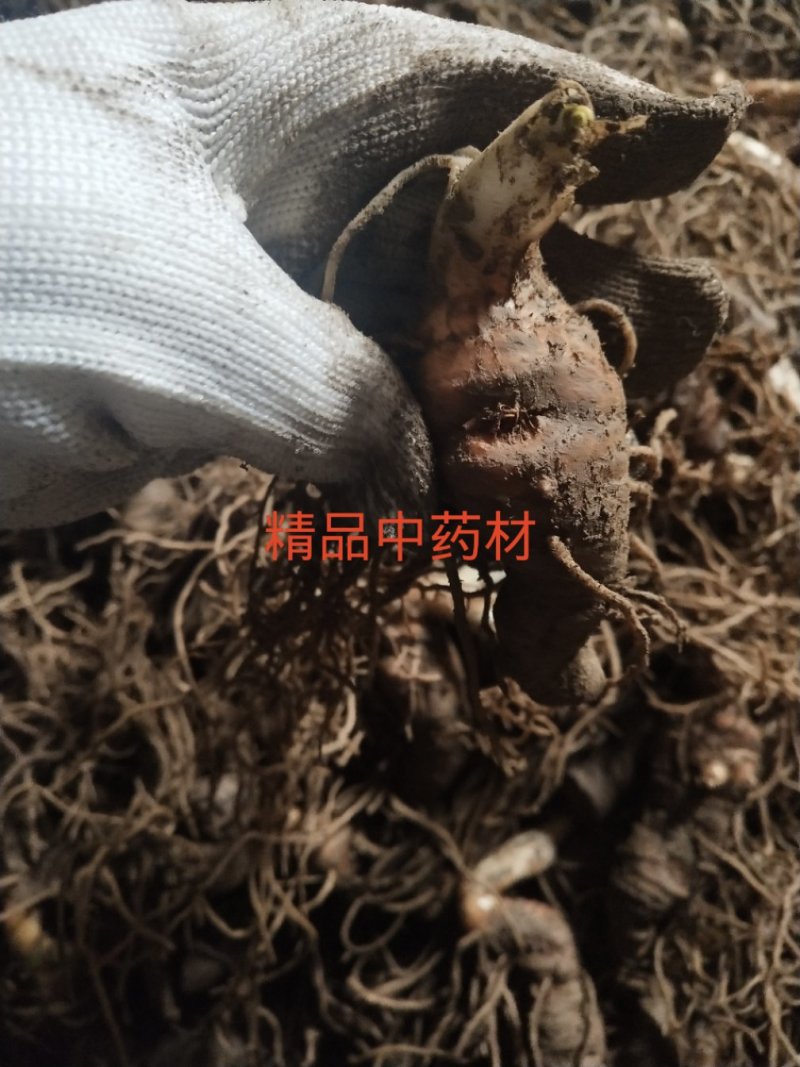 重楼