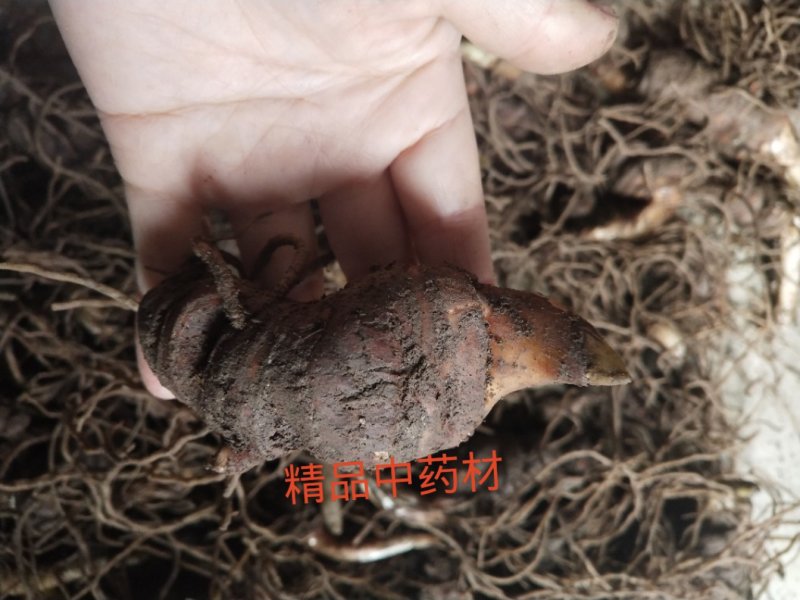 重楼