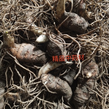 重楼