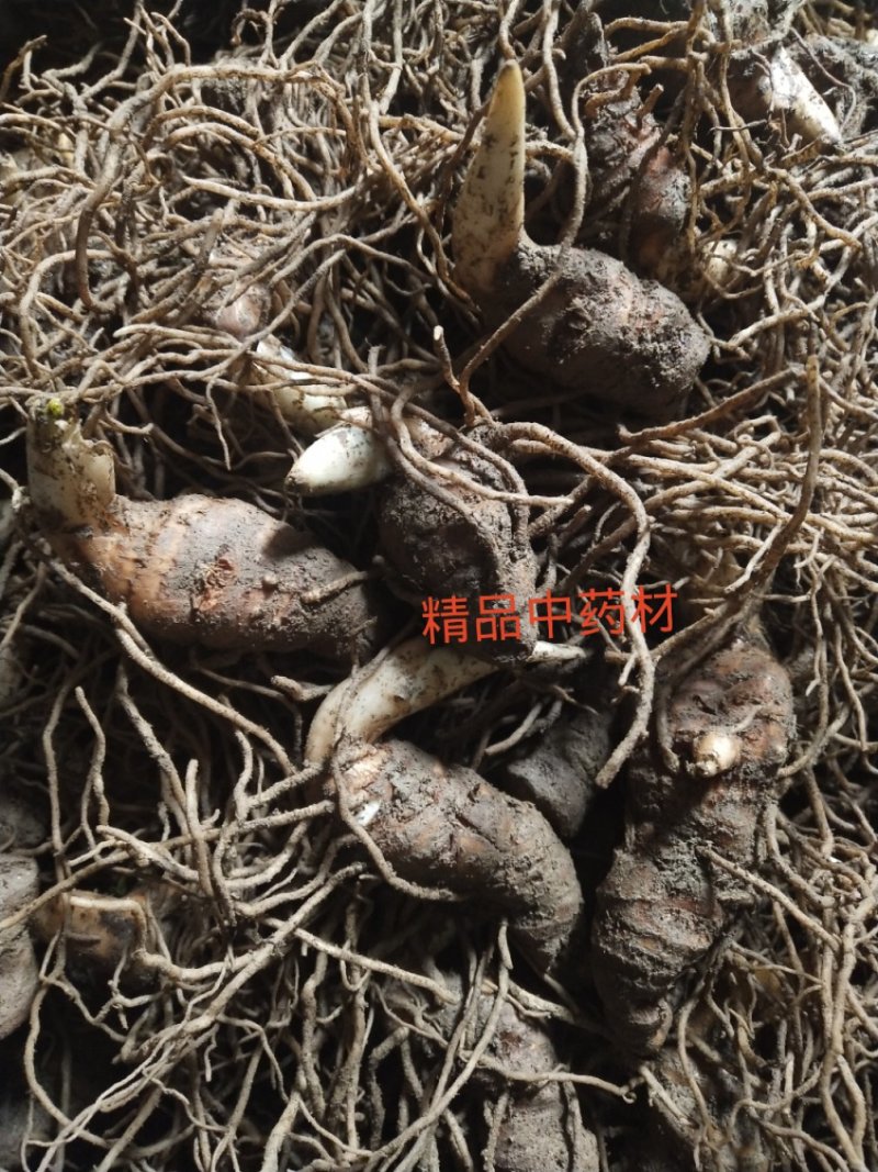 重楼