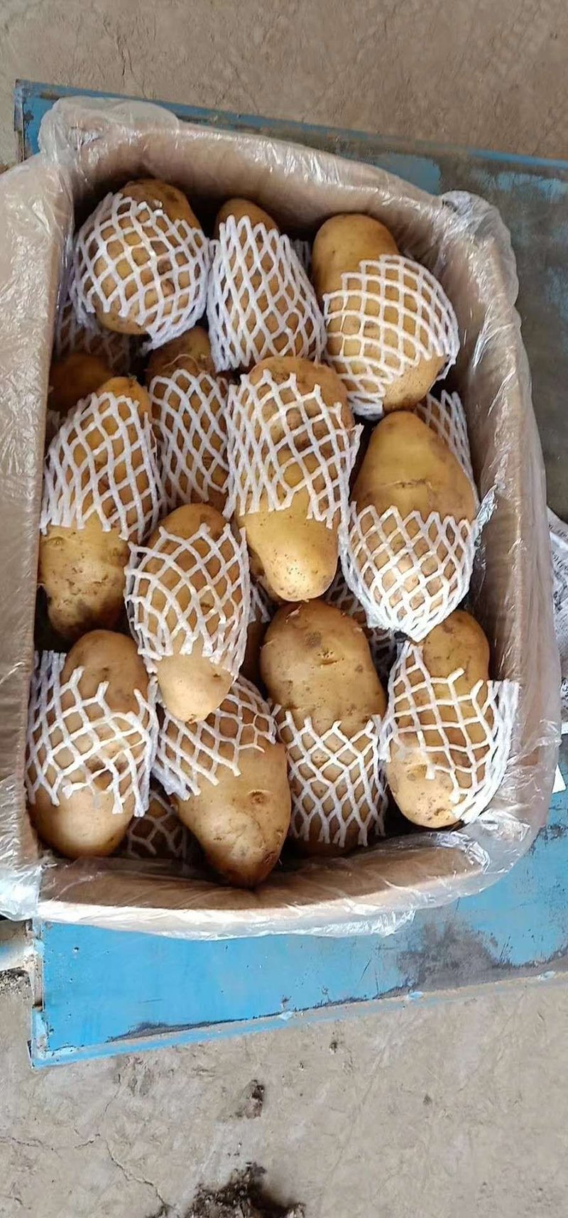 荷兰十五土豆陆地土豆大量供应保质保量大量现货