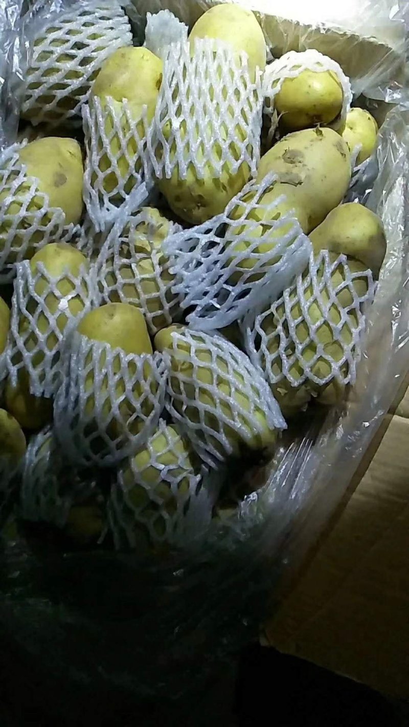 荷兰十五土豆陆地土豆大量供应保质保量大量现货