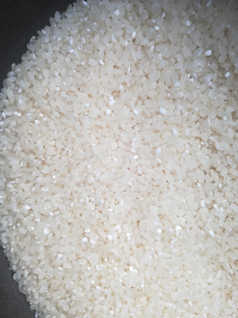 碱米