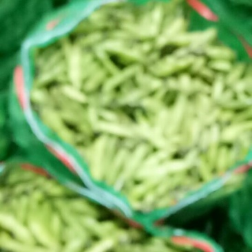 蚕豆胡豆