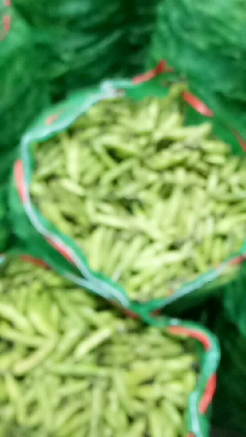 蚕豆胡豆