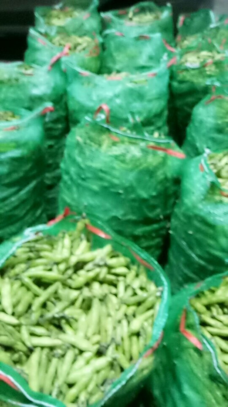 蚕豆胡豆