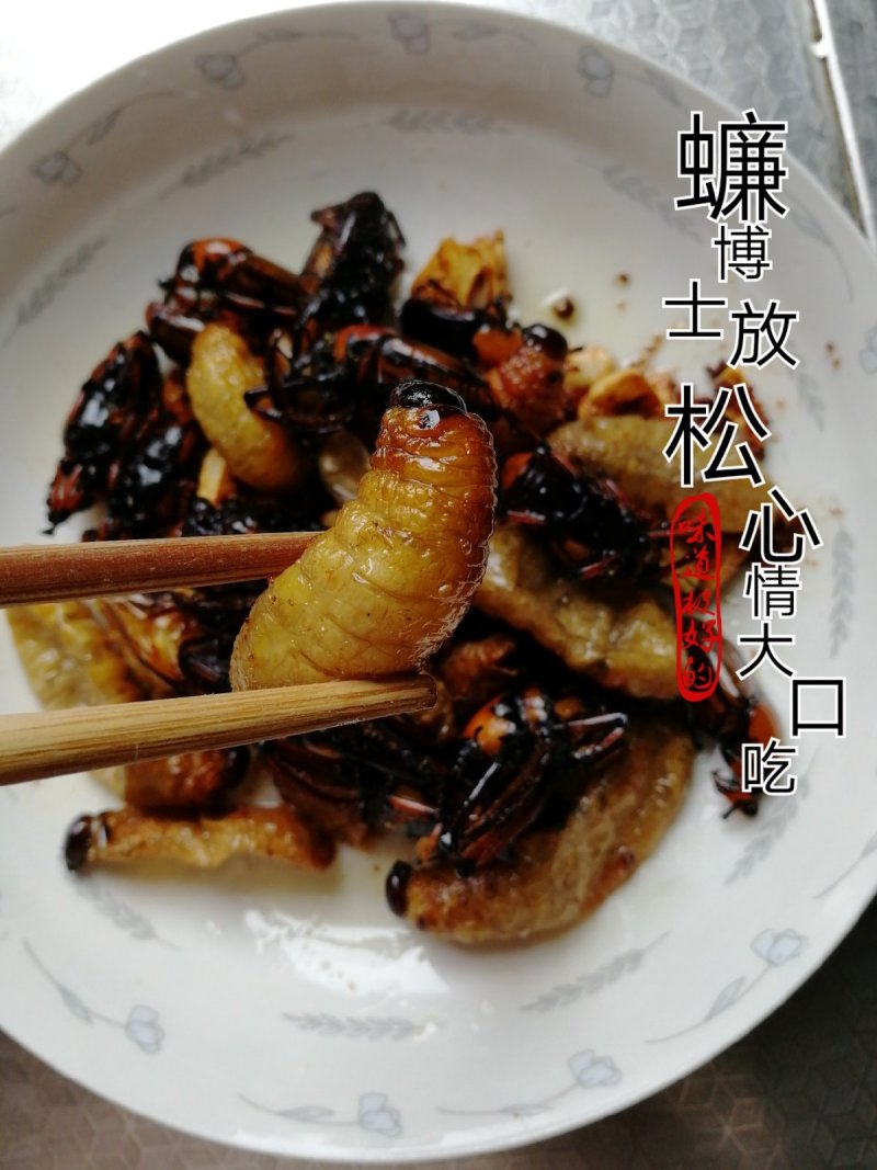 竹蛆竹虫竹笋虫笋蛹