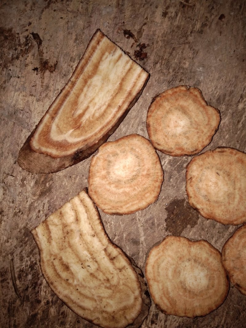 野生葛片