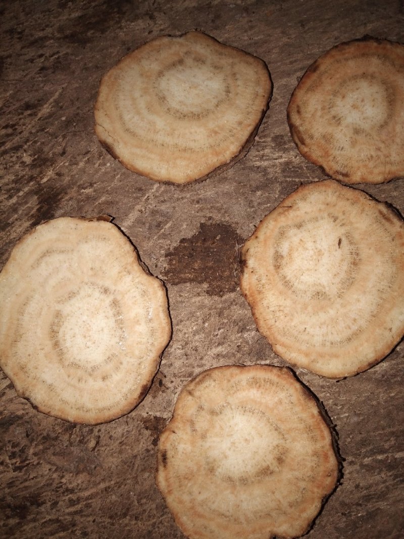 野生葛片