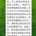 银杏白果粉～绿色木本粮食