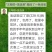 银杏白果粉～绿色木本粮食