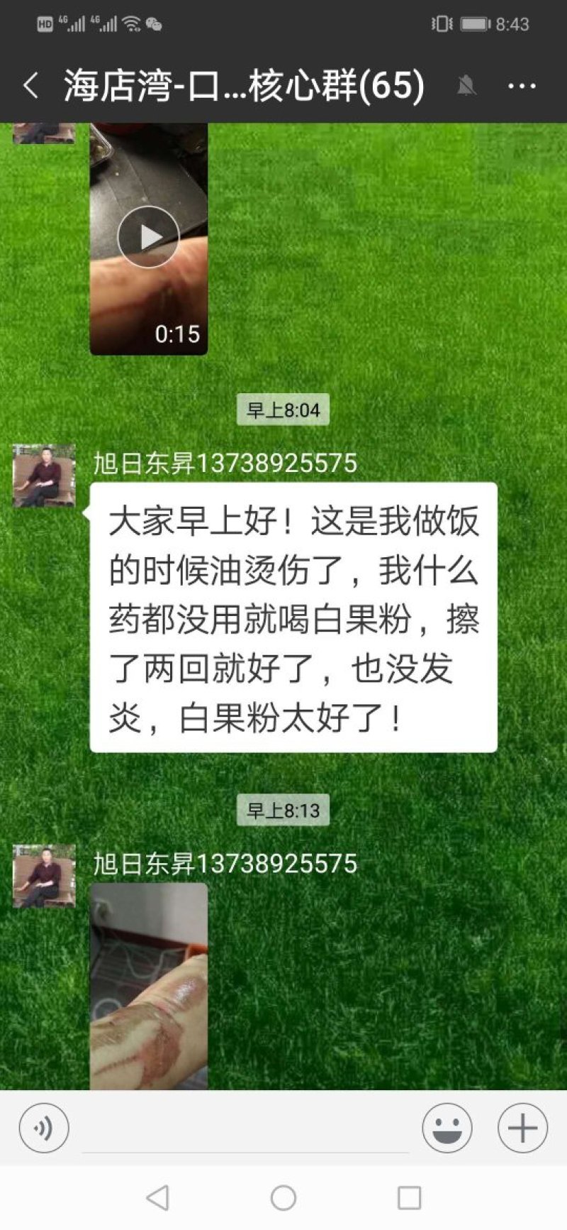 银杏白果粉～绿色木本粮食