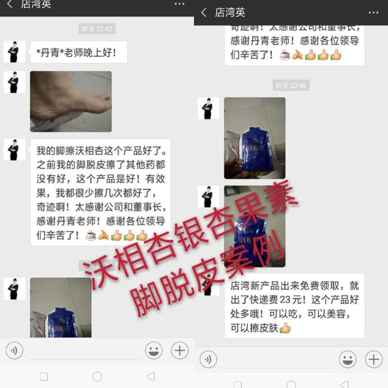 银杏白果粉～绿色木本粮食