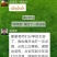 银杏白果粉～绿色木本粮食