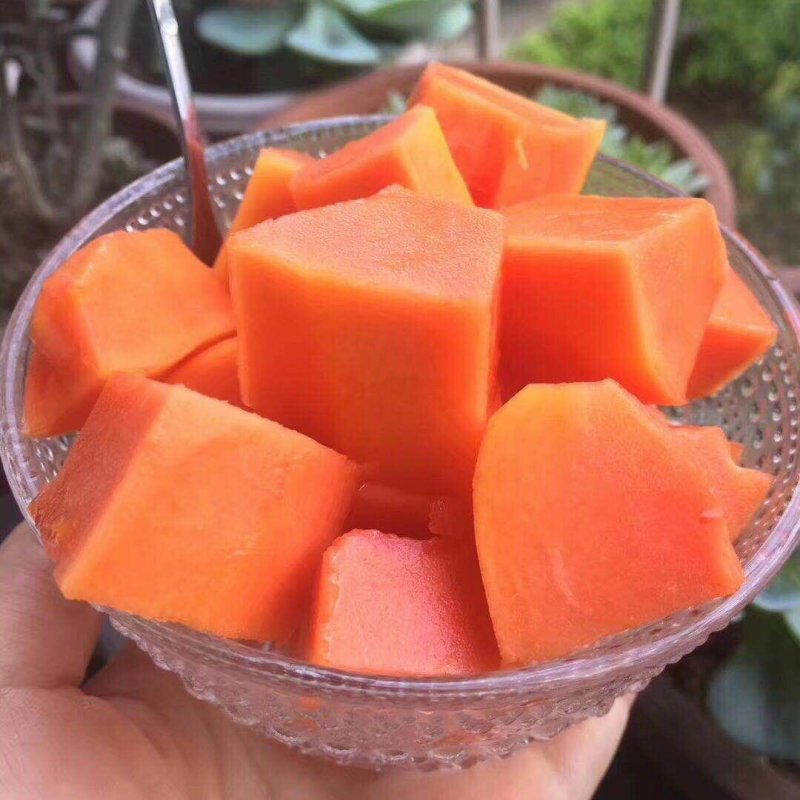 红心木瓜