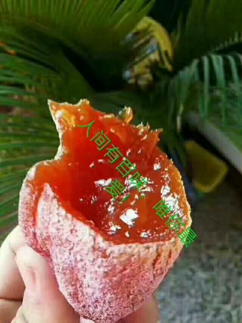 柿饼