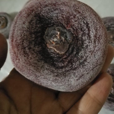 柿饼次品糖饼统货
