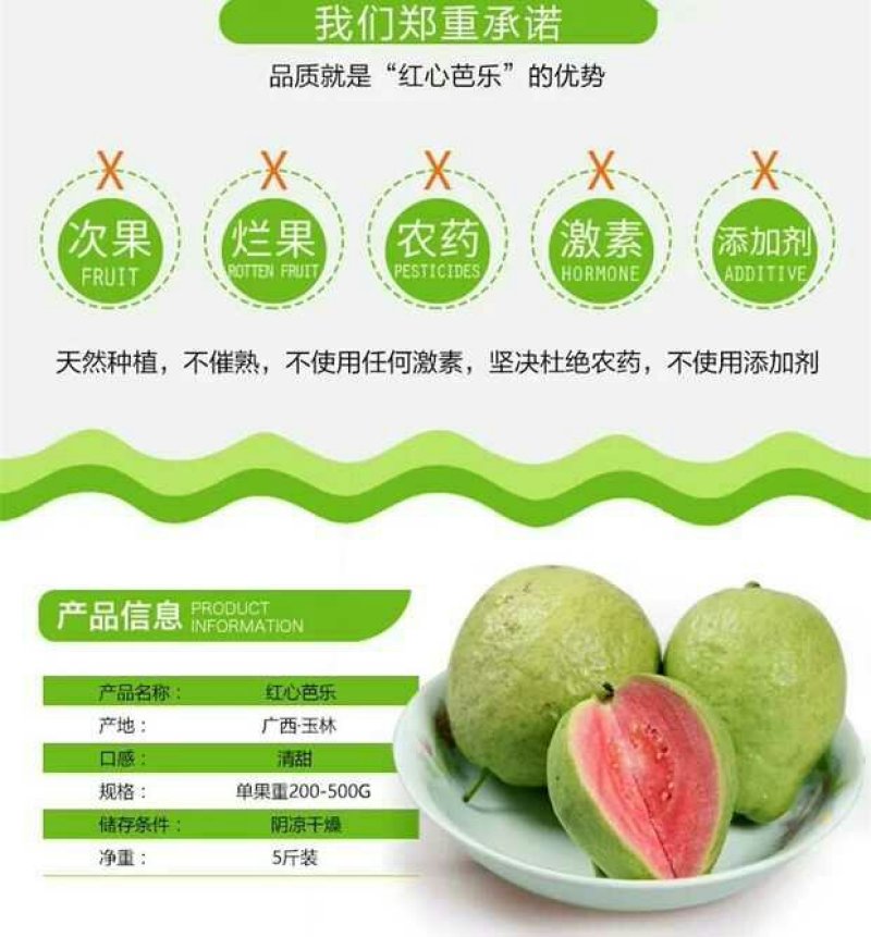 红心番石榴