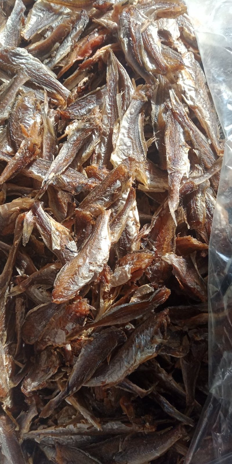 小黄鱼38一斤350一箱