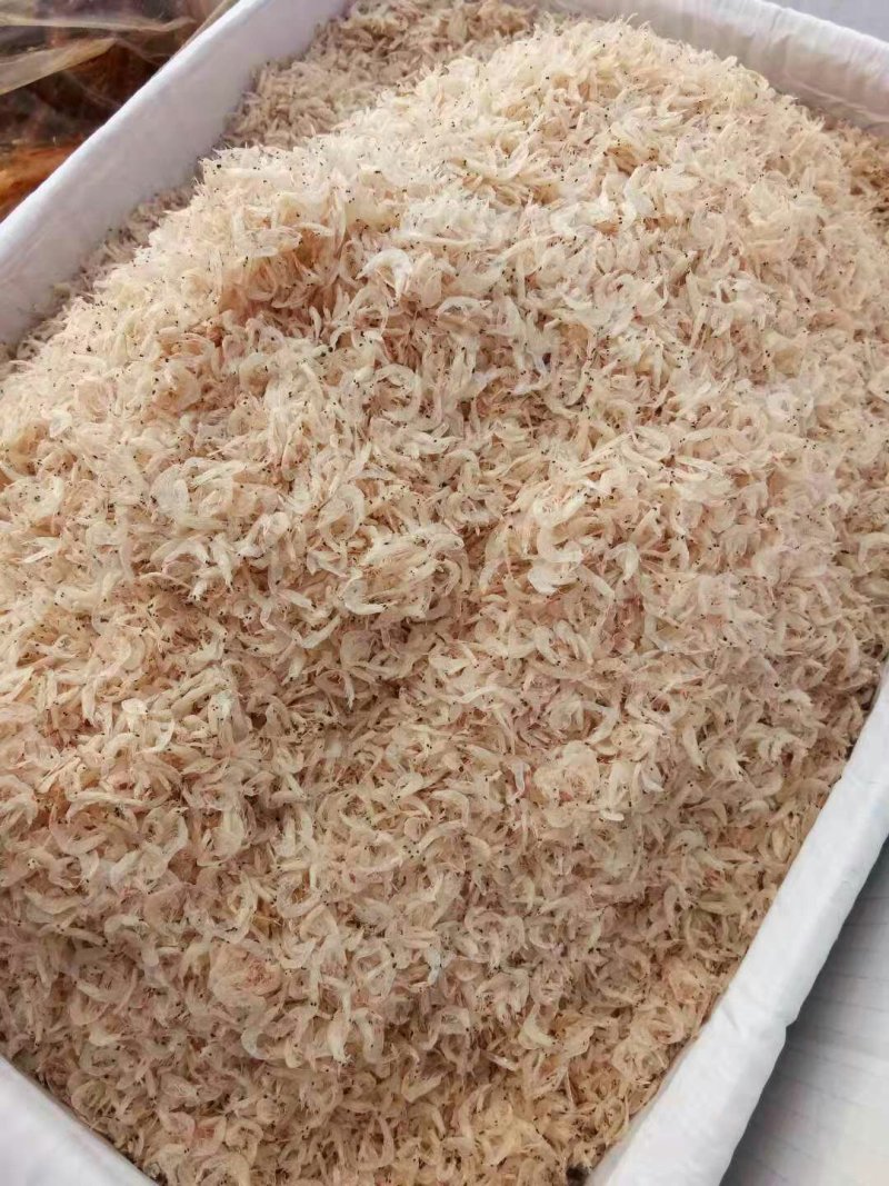 威海虾皮