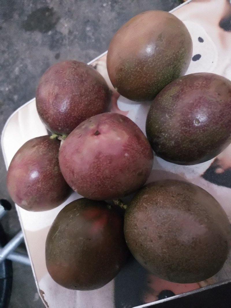 百香果大红果