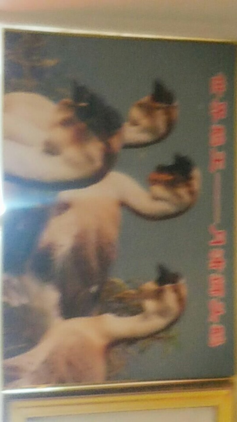 广东卤鹅