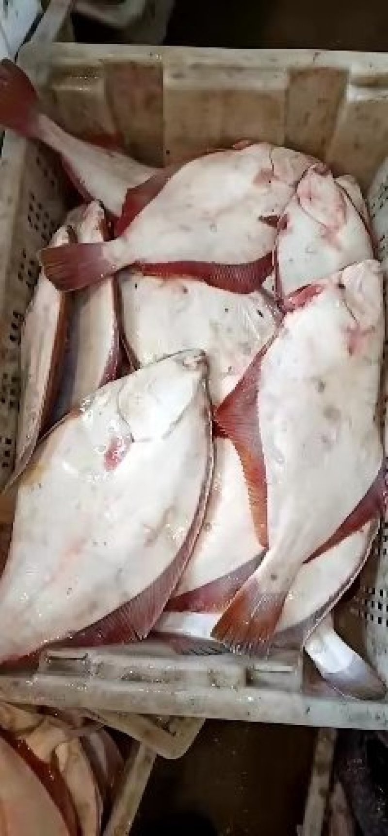 海鲜