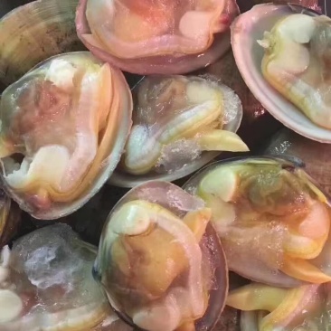 海鲜
