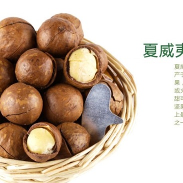 夏威夷果