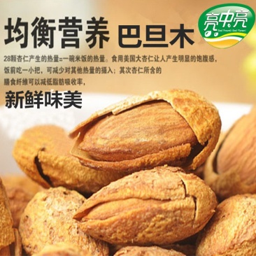 巴尔沙木