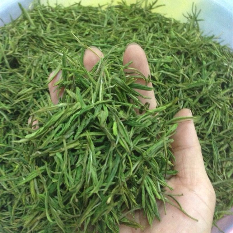 安吉白茶