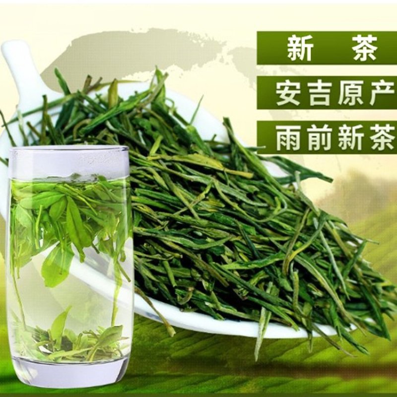 安吉白茶