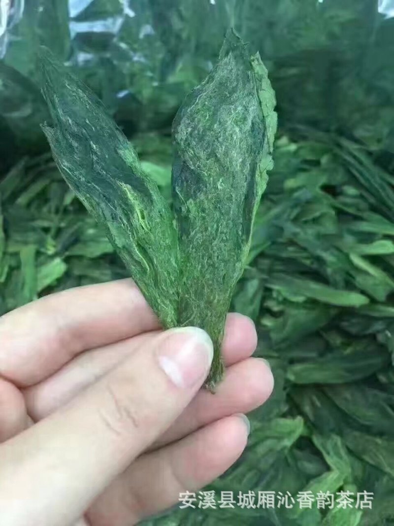 太平猴魁