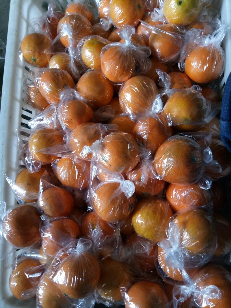纽荷尔脐橙次果大果，优质小果混装，口感好甜