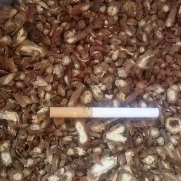 丹参，各种规格都有现货，量大可长期供货，产地直销，质优