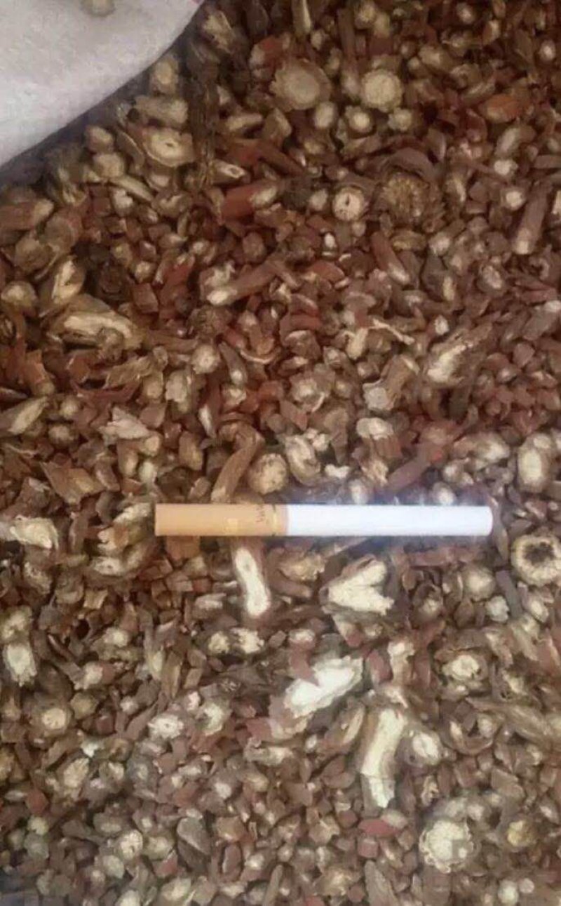 丹参，各种规格都有现货，量大可长期供货，产地直销，质优