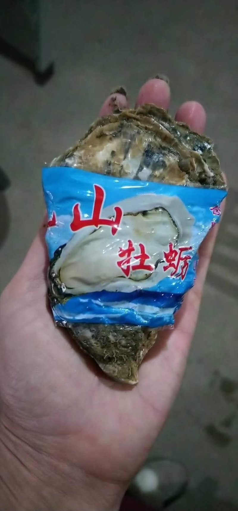 乳山生蚝鲜活带壳生蚝肉新鲜牡蛎即食海鲜水产海蛎子