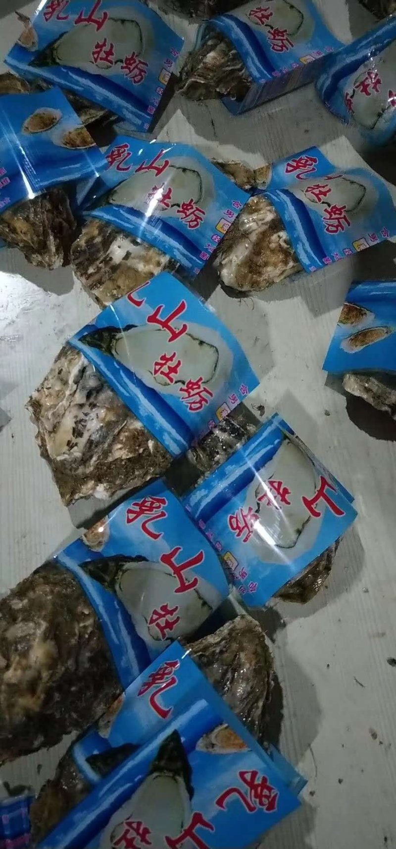 乳山生蚝鲜活带壳生蚝肉新鲜牡蛎即食海鲜水产海蛎子