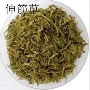伸筋草