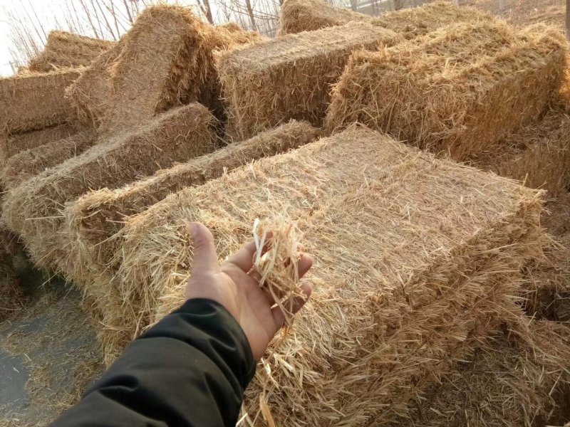 稻草秸秆玉米秸秆