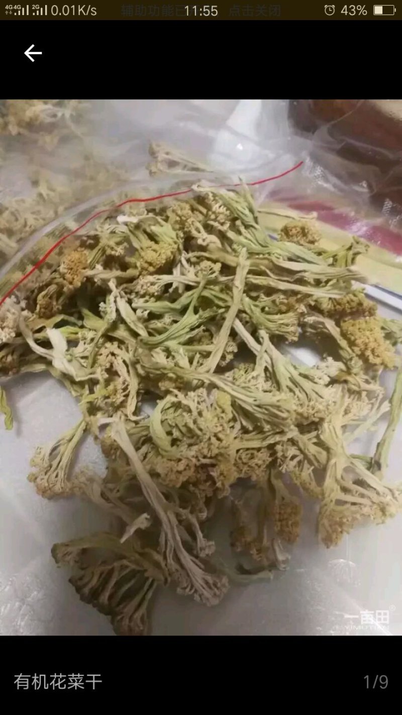 松花菜干