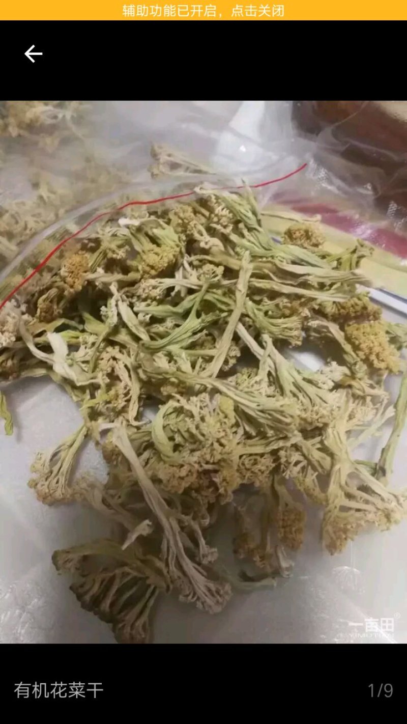 松花菜干