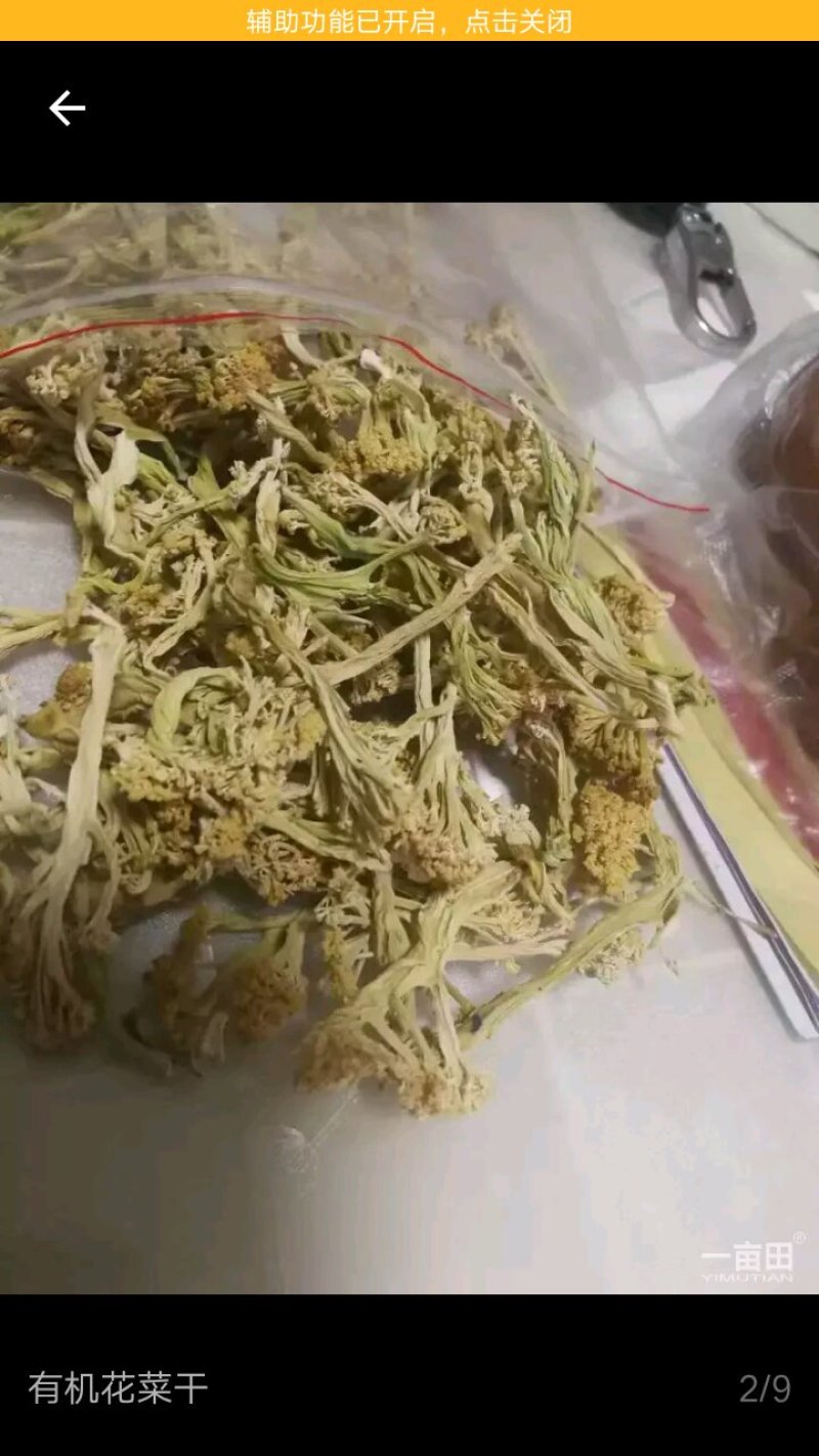 松花菜干