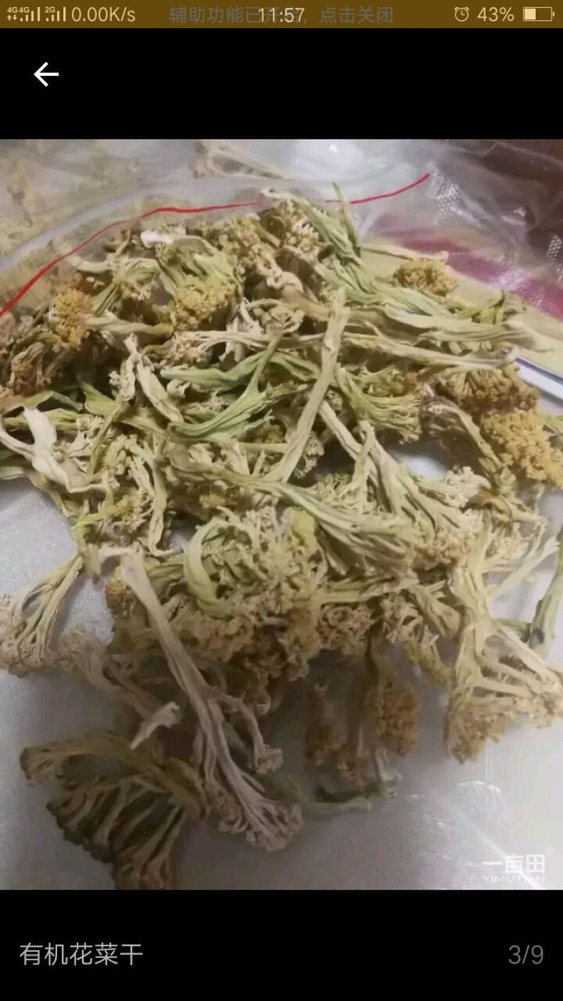 松花菜干